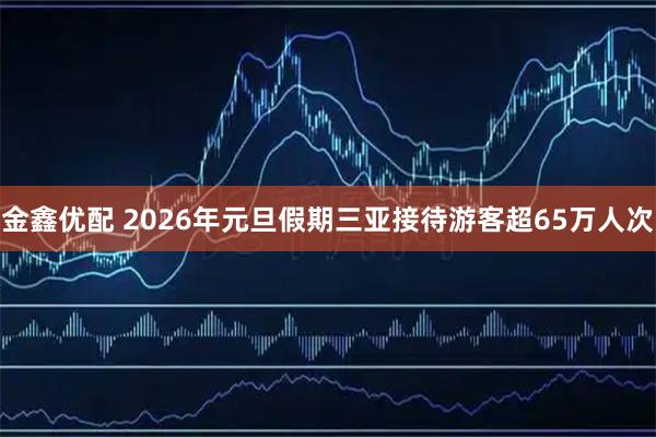 金鑫优配 2026年元旦假期三亚接待游客超65万人次