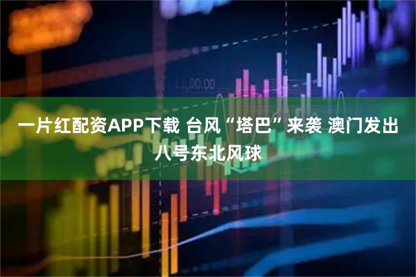 一片红配资APP下载 台风“塔巴”来袭 澳门发出八号东北风球